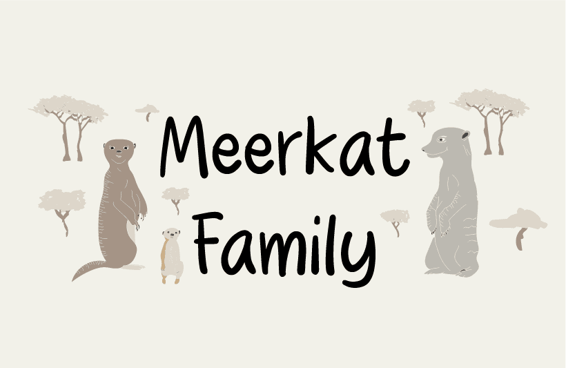 Meerkat Family