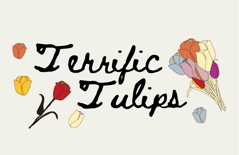 Terrific Tulips